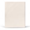 IDEALSEAL Postage Meter Labels 300 Count White Rectangular 7 x 1-9/16"-3